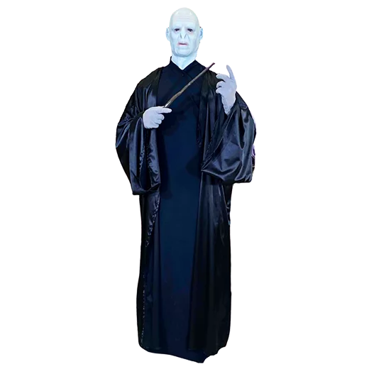 Harry Potter Voldemort