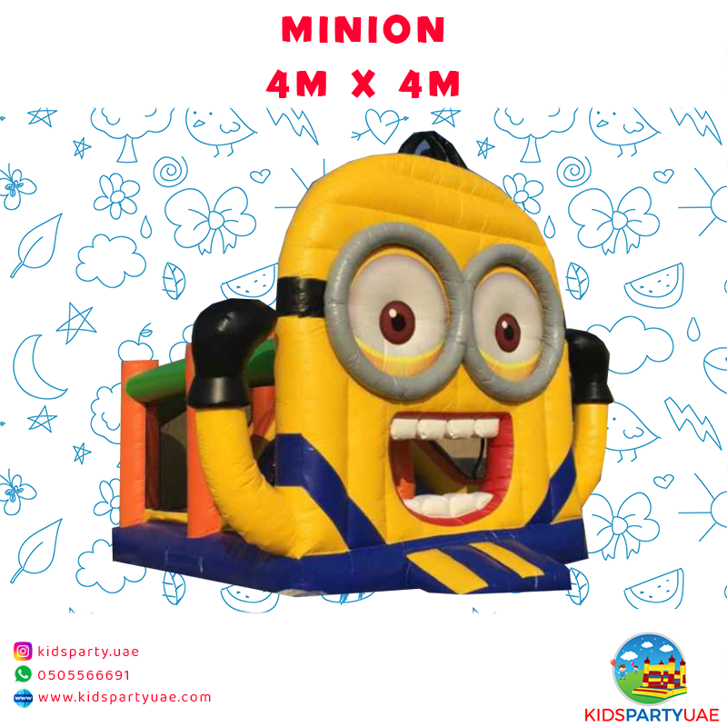 4m x 4m MINION