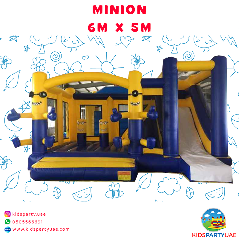 6m x 5m MINION